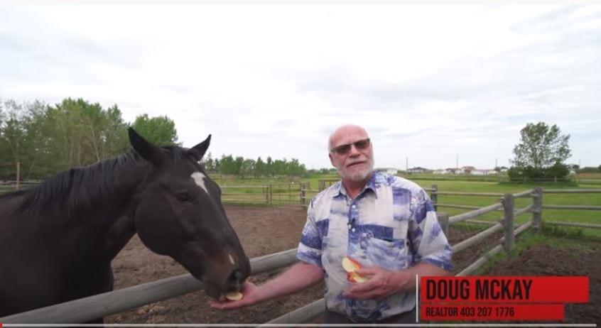 Man feeding horse